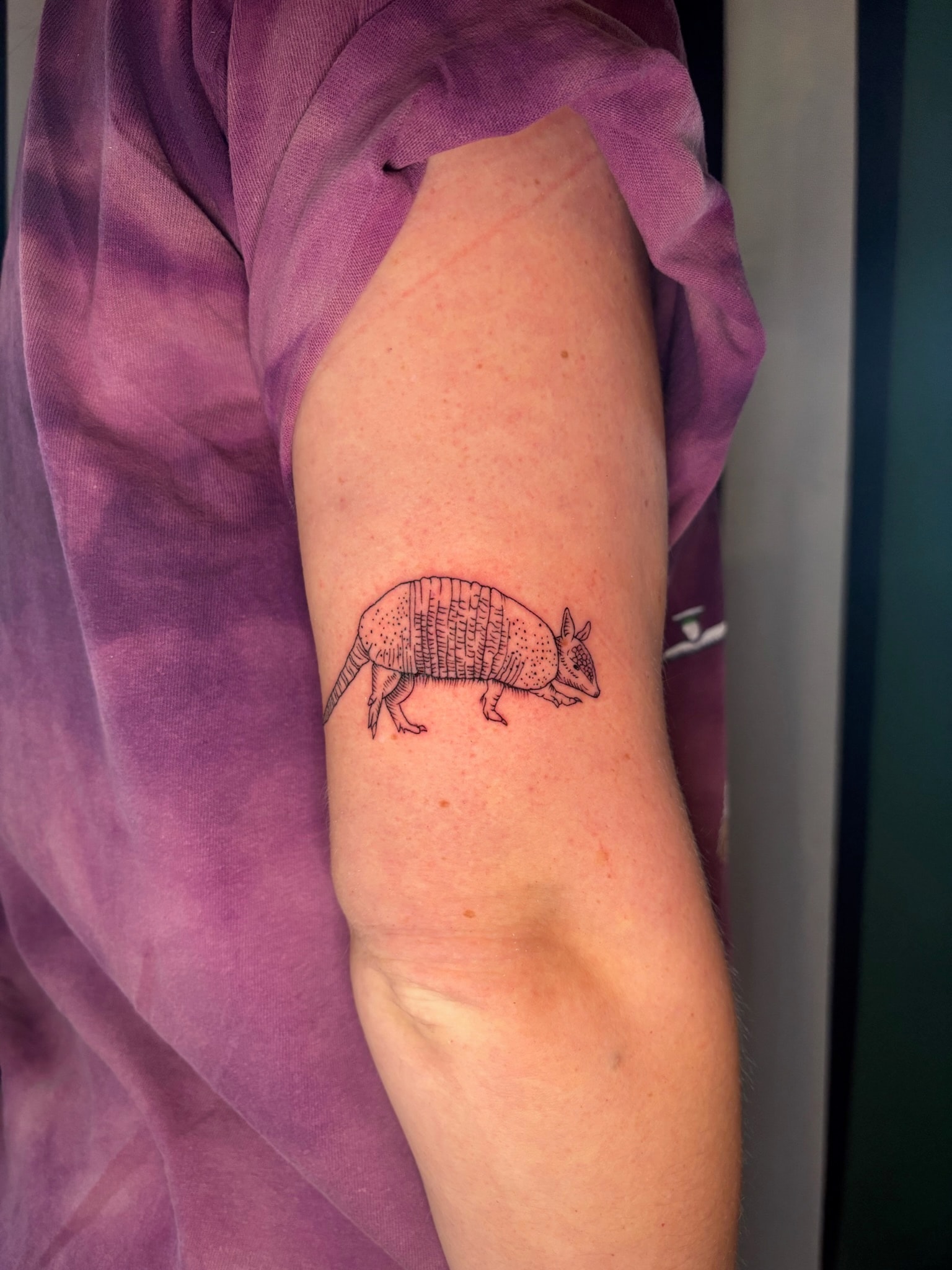 Armadillo tattoo on arm, black and grey