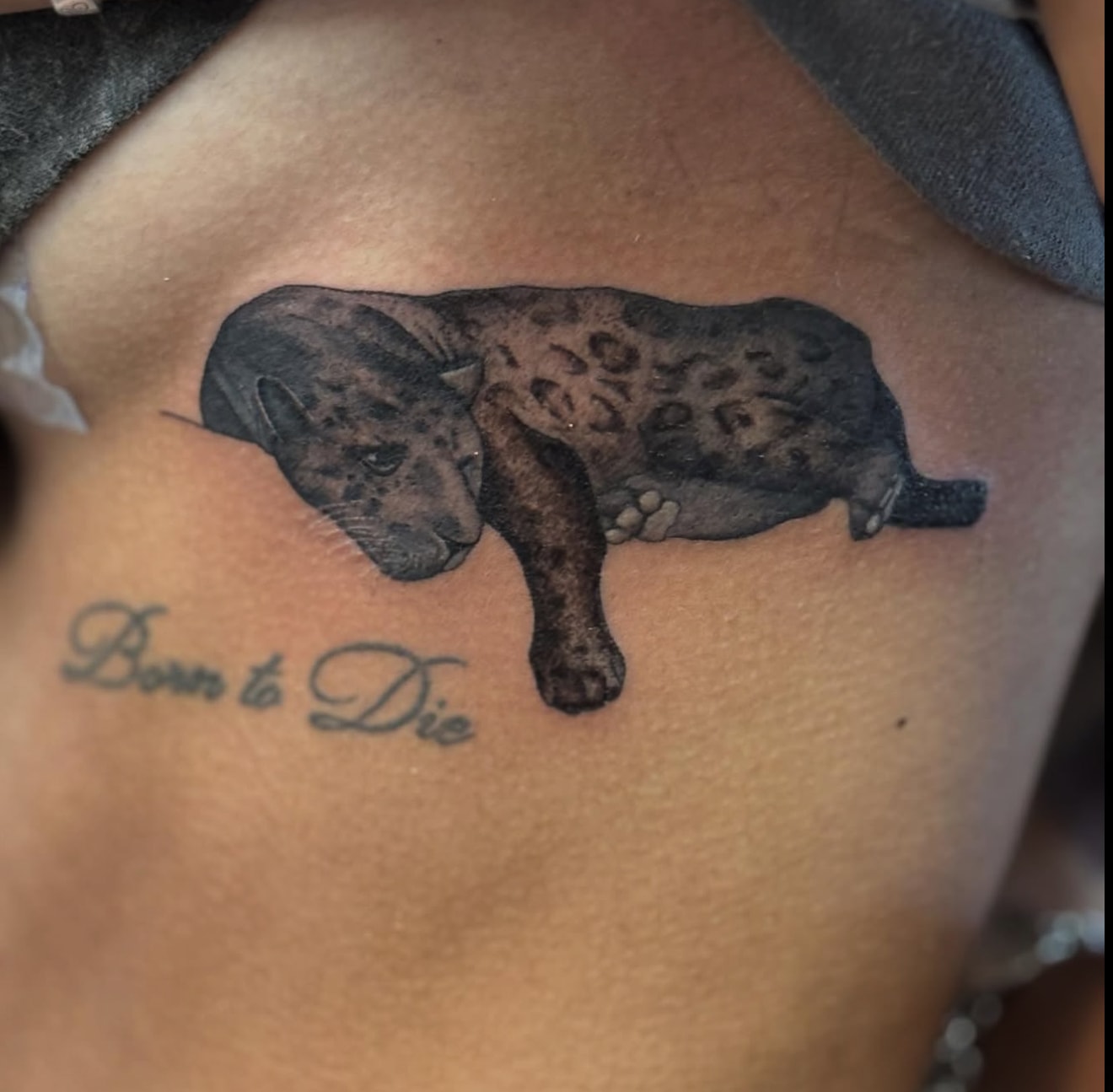 Dachshund with Born to Die script tattoo, black and grey