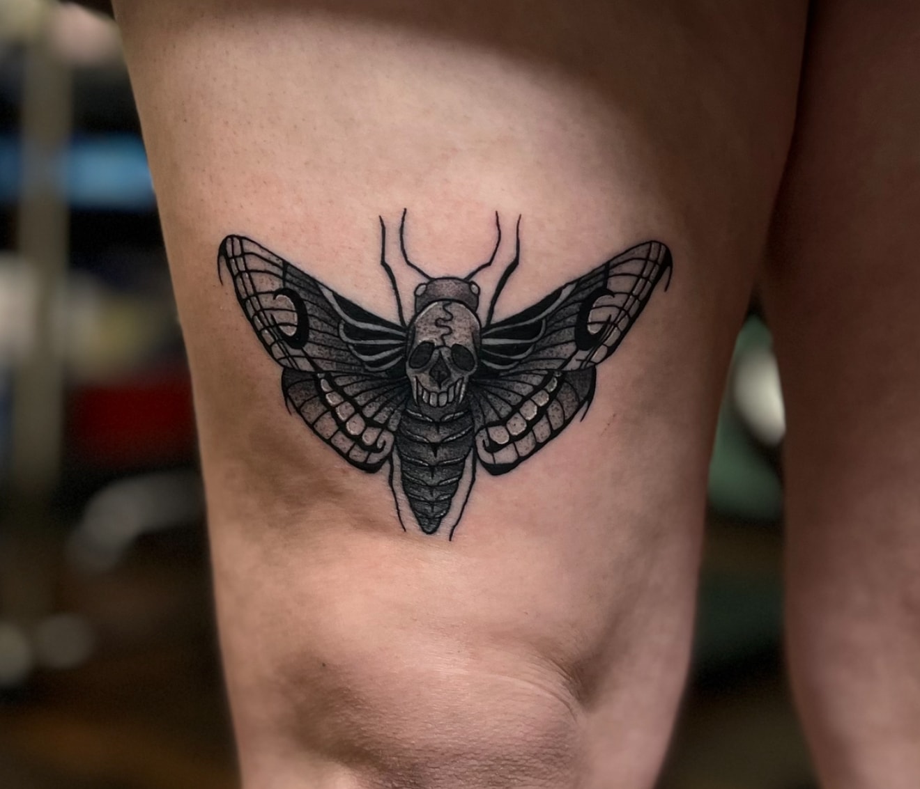 Skull moth with horns tattoo, detailed black and grey